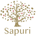 Sapuri