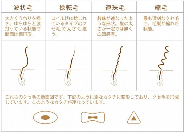 くせ毛の悩み クセの種類 プロ用 髪質改善 トリートメント専門店 Sapuri